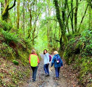 El Camino de Santiago a Finisterre