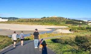 Senda Azul de Arteixo, un paseo para hacer con tu perro