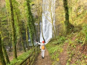 Fonsagrada, Seimeira de Vilagocende