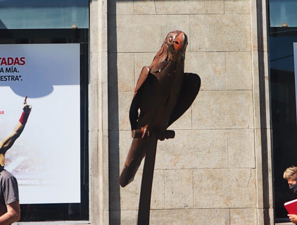 Loro Ravachol, un icono en Pontevedra