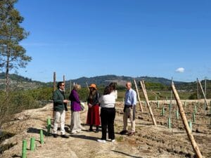 Viñedos Cuñas Davia, O Ribeiro