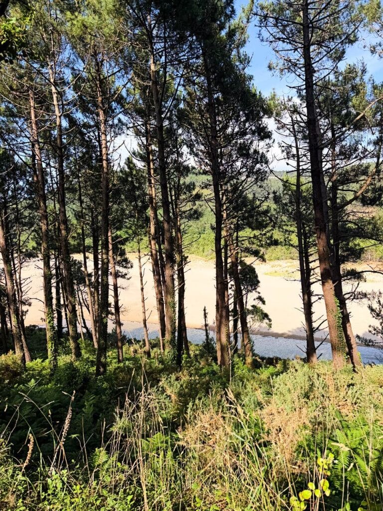 Playa de Esteiro