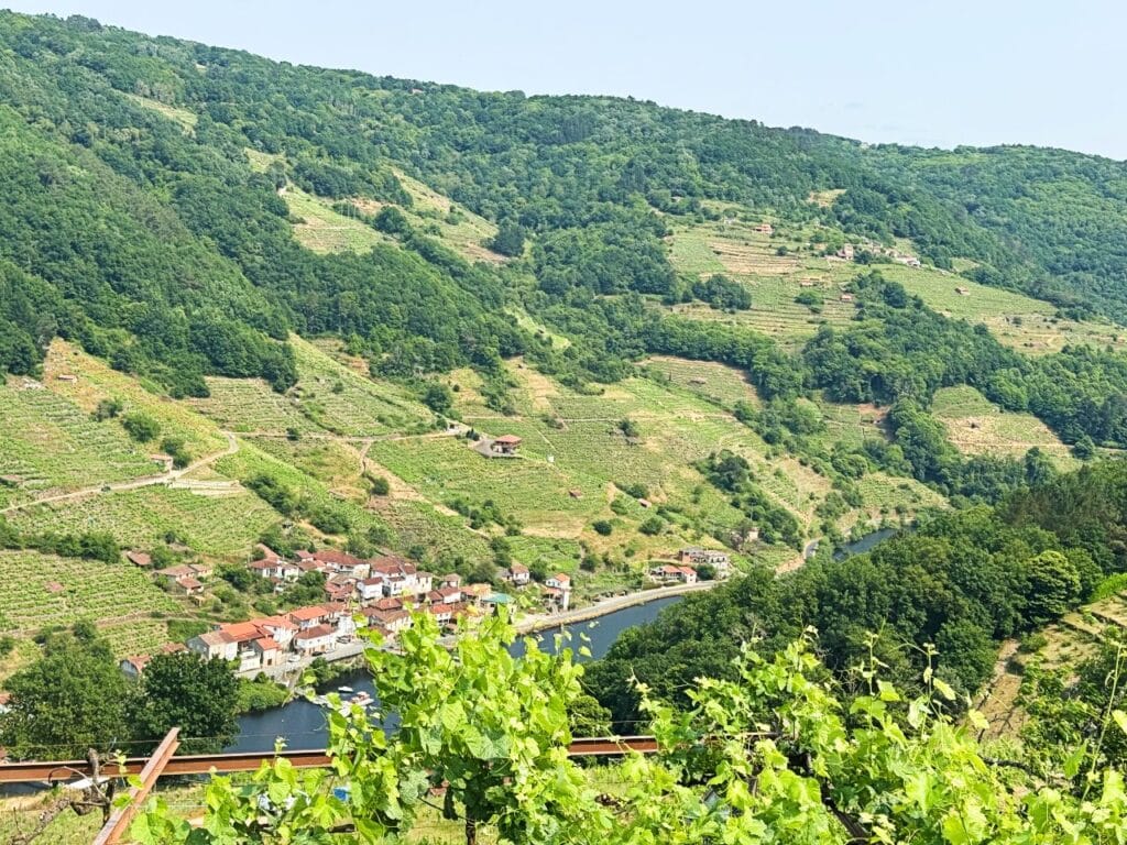 Belesar